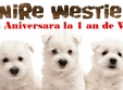 intalnirea aniversara la 1 an de westie cluj