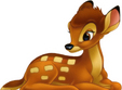 introducere in arta animatiei
