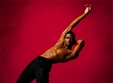 introducere in dans contemporan