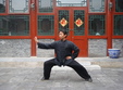 introducere in taijiquan lectie deschisa