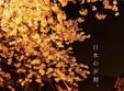 japanese gastronomy night