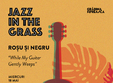 jazz in the grass 11 ro u i negru while my guitar gently weep