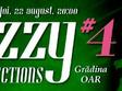 jazzy connections 4 la gradina oar
