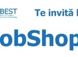 jobshop 2013 la iasi