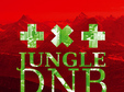 jungle drum n bass ul d arc
