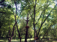 junglepark