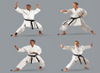 karate shotokan