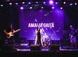 lansare album amalia gai a melting sun 