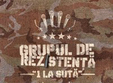lansare album grupul de rezistenta in elephant pub din bucuresti