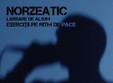 lansare album solo norzeatic in club control