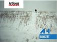 lansare album the amsterdams la iasi