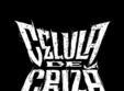 lansare celula de criza butonu ro u