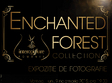 lansare enchanted forest 