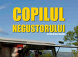 le fils de l epicier copilul negustorului