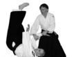 lectia de aikido