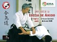 lectia de aikido