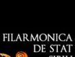lectia de muzica cu orchestra de camera sunetul muzicii