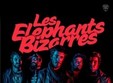 les elephants bizarres