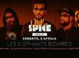 les elephants bizarres