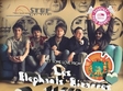 les elephants bizarres in stuf vama veche