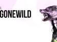 les elephants bizarres lanseaza girls gone wild colectiv