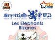 les elephants bizzares scottish pub