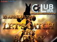 let s catch the bunny 