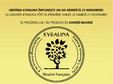 libraria franceza kyralina impleneste un an sambata 23 noiembrie