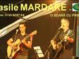 life pub inaugureaza seria de evenimente o seara cu prietenii printr un concert vasile mardare 