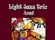 light jazz trio club nerv