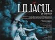 liliacul la teatrul national de opereta