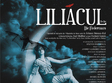 liliacul la teatrul national de opereta ion dacian
