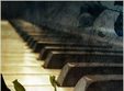 live piano concert la atrium cafe sibiu