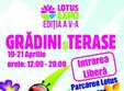 lotus expo gradini si terase