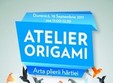 lumea fascinanta a artei origami