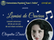 lumini de craciun