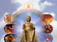 maitreya project la arad