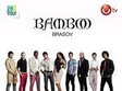 mandinga in bamboo 