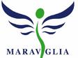 maraviglia salon organizeaza cursuri in domeniul infrumusetarii