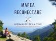 marea reconectare