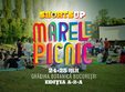 marele picnic shortsup edi ia a ii a