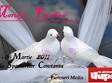 mariaje fairshow 04 06 martie 2011 constanta