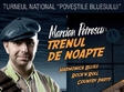 marian petrescu trenul de noapte