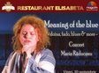 meaning of the blue doina fado blues more