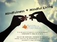 meditatie si mindful living 