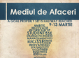 mediul de afaceri 2015