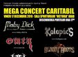 mega concert caritabil
