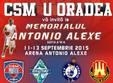  memorialul antonio alexe oradea