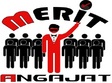 meritangajat ro se lanseaza oficial