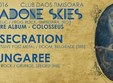 methadone skies tm lansare album daos